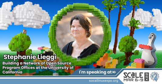 Stephanie Lieggi Profile Pic in a lego artwork frame