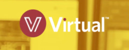 Virtual Logo